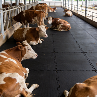 Cow comfort rubber mat for cattle barn anti-slip farm mat